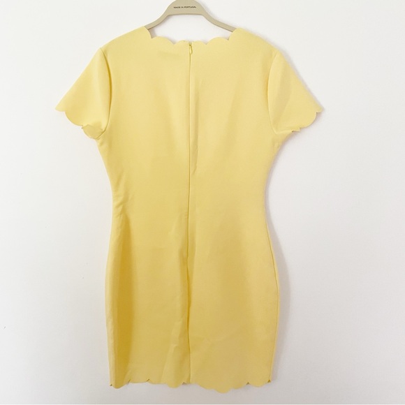 REVOLVE LIKELY Manhattan Body Con
Scalloped Short Sleeve Sheath Dress size 10 - Picture 11 of 16